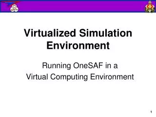 Virtualized Simulation Environment