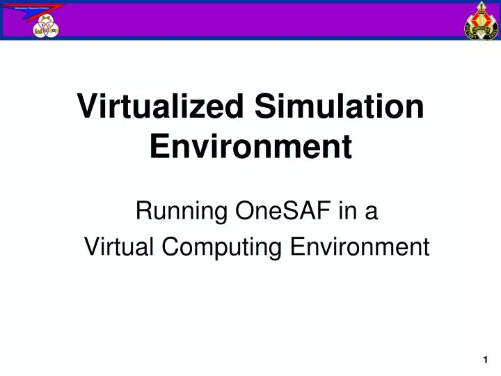 virtualized simulation environment