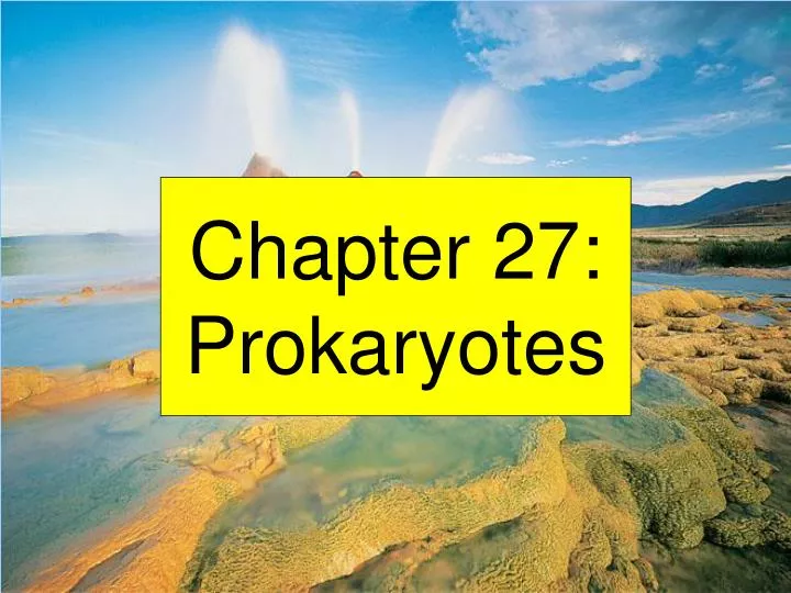 chapter 27 prokaryotes