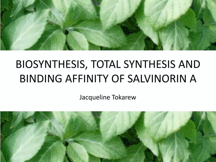 biosynthesis total synthesis and binding affinity of salvinorin a
