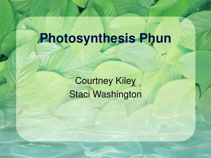 photosynthesis phun
