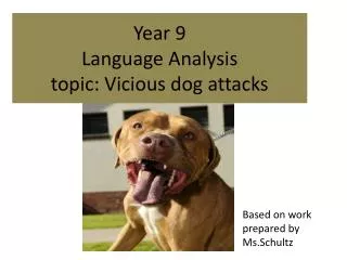 Year 9 Language Analysis topic: Vicious dog attacks