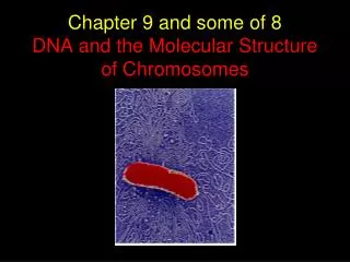 Chapter 9 and some of 8 DNA and the Molecular Structure of Chromosomes