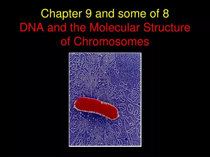 chapter 9 and some of 8 dna and the molecular structure of chromosomes