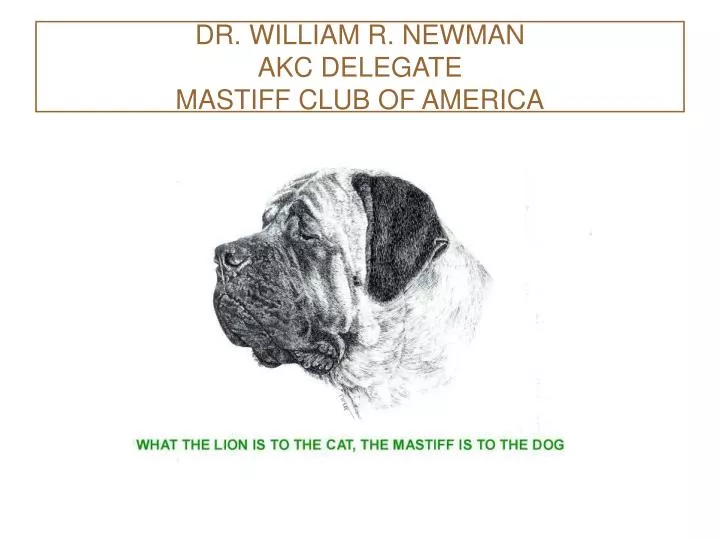 dr william r newman akc delegate mastiff club of america