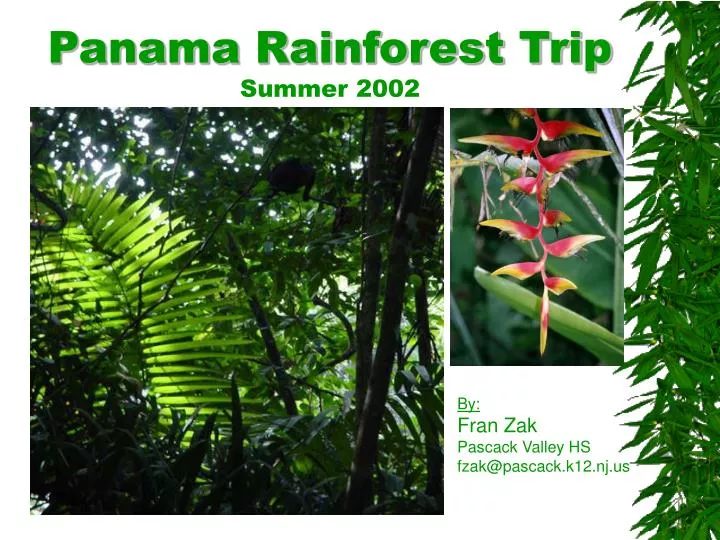 panama rainforest trip summer 2002