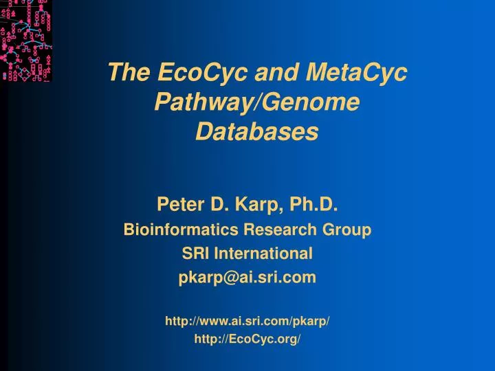 the ecocyc and metacyc pathway genome databases