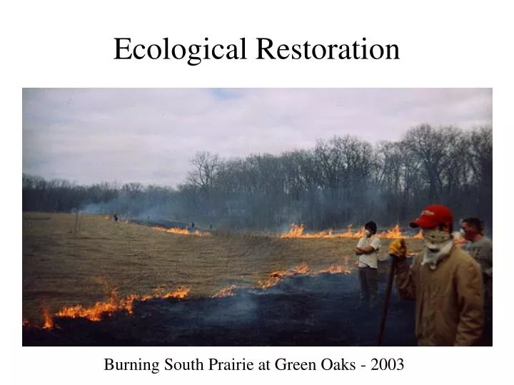 ecological restoration