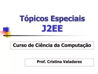 t picos especiais j2ee