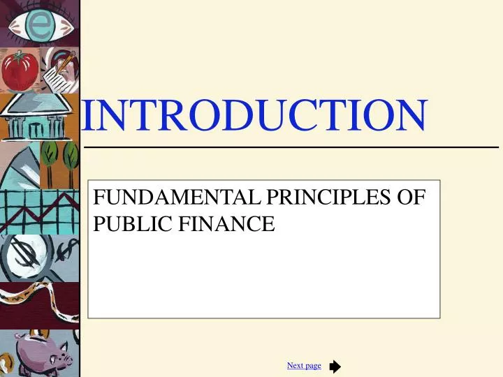 fundamental principles of public finance