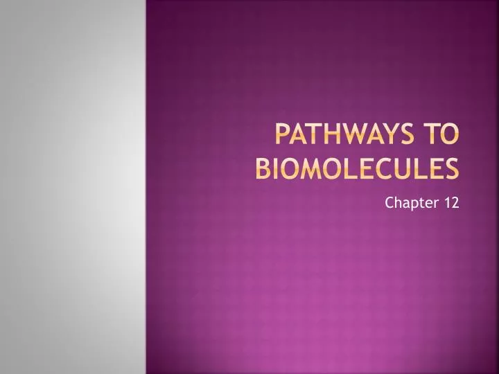 pathways to biomolecules