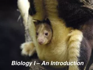 Biology I – An Introduction