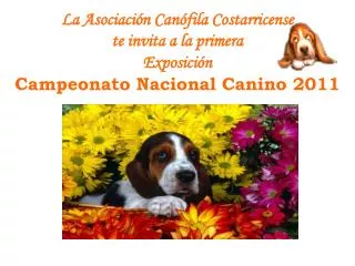 La Asociación Can ófila Costarricense te invita a la primera Exposición Campeonato Nacional Canino 2011