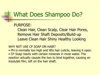 What Does Shampoo Do?