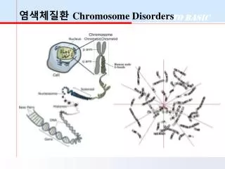 염색체질환 Chromosome Disorders