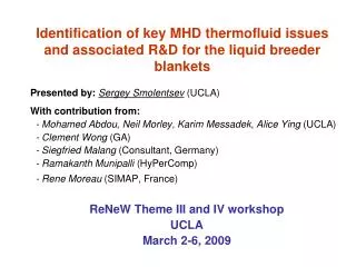 Identification of key MHD thermofluid issues and associated R&amp;D for the liquid breeder blankets