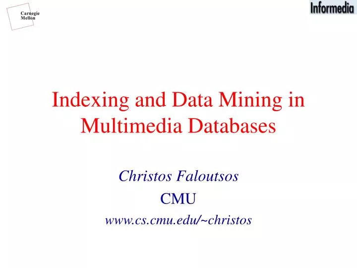 indexing and data mining in multimedia databases