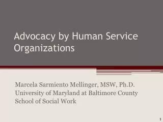 Advocacy by Human Service Organizations