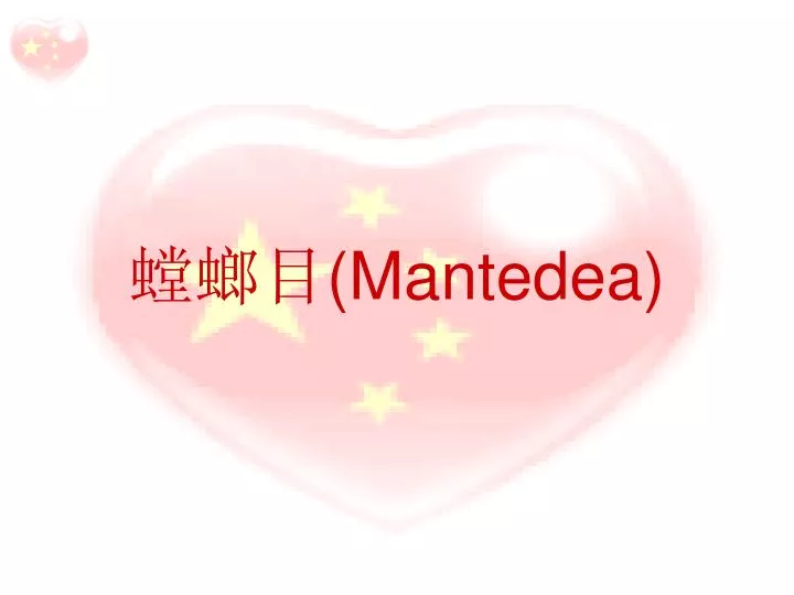 mantedea