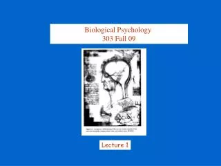 Biological Psychology 303 Fall 09