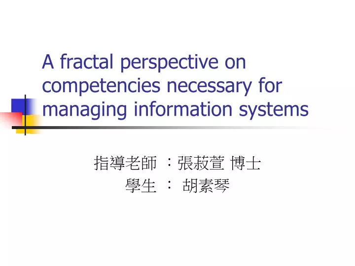 a fractal perspective on competencies necessary for managing information systems