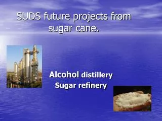 SUDS future projects from sugar cane.