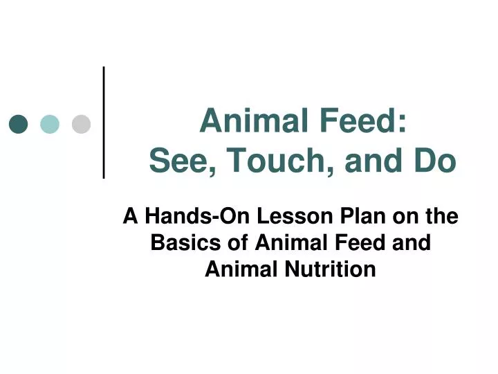 animal feed see touch and do