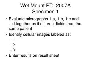 Wet Mount PT: 2007A Specimen 1