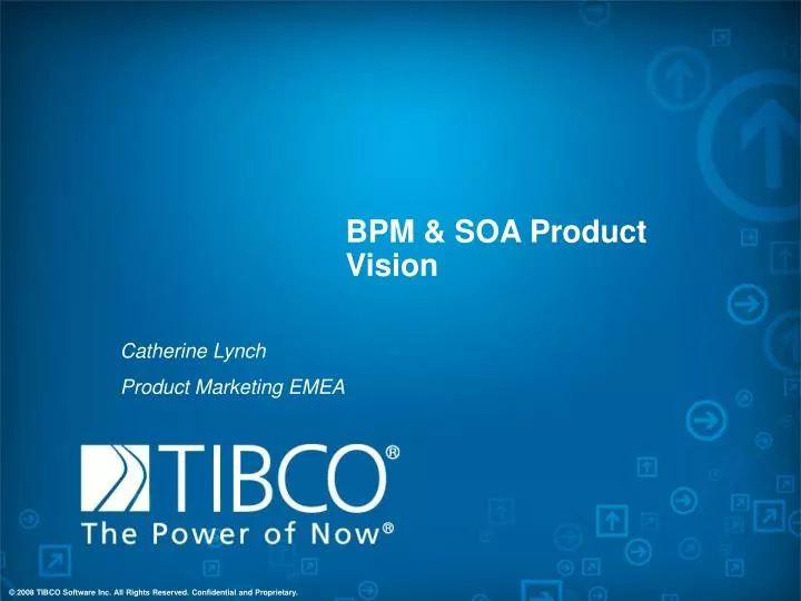 bpm soa product vision