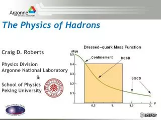 The Physics of Hadrons