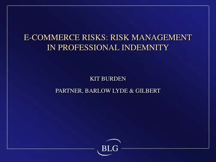 e commerce risks risk management in professional indemnity