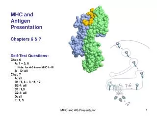 MHC and Antigen Presentation Chapters 6 &amp; 7