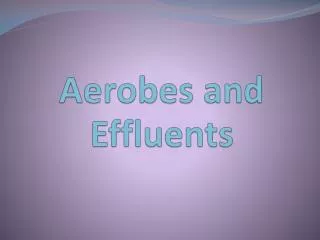 Aerobes and Effluents