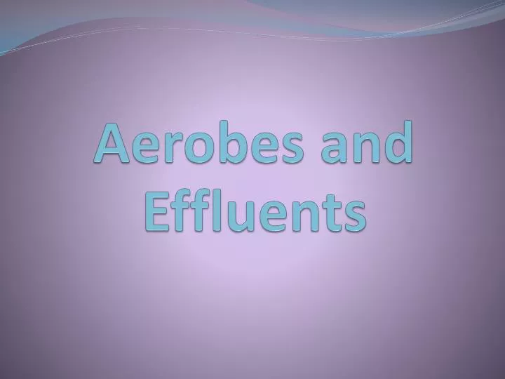 aerobes and effluents