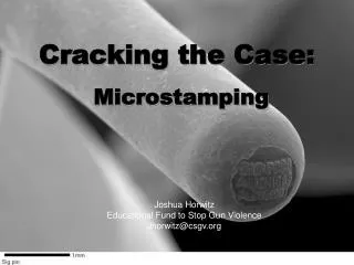 Cracking the Case: