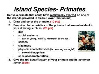Island Species- Primates