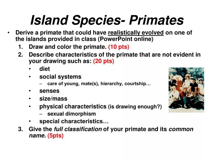 island species primates