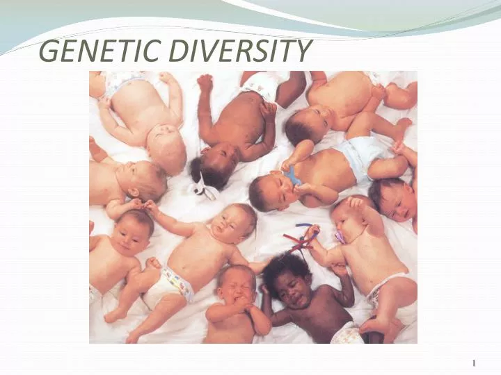 genetic diversity
