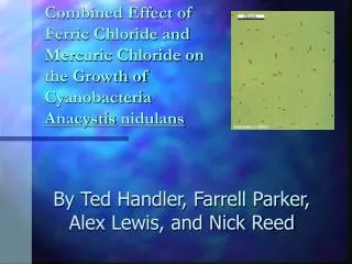 Combined Effect of Ferric Chloride and Mercuric Chloride on the Growth of Cyanobacteria Anacystis nidulans