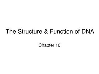 The Structure &amp; Function of DNA