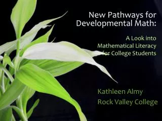 New Pathways for Developmental Math: A Look into Mathematical Literacy for College Students