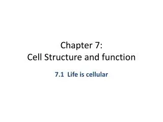 Chapter 7: Cell Structure and function