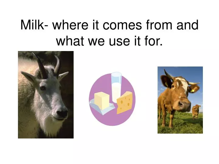 milk where it comes from and what we use it for
