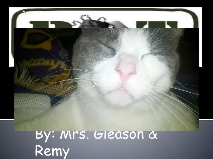 by mrs gleason remy