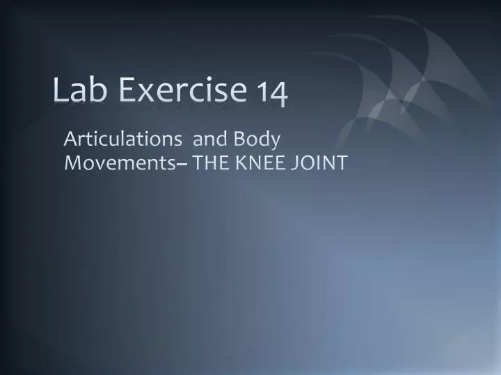 lab exercise 14
