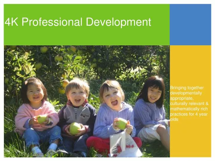 4k professional development
