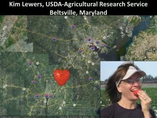 Kim Lewers, USDA-Agricultural Research Service Beltsville, Maryland