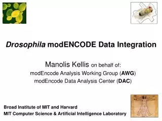 Drosophila modENCODE Data Integration