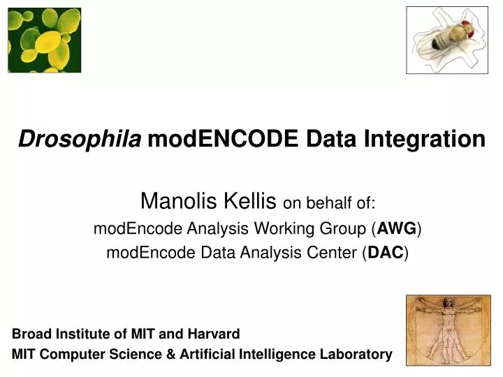drosophila modencode data integration