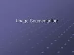 Image Segmentation: Techniques and Applications - slide 1
